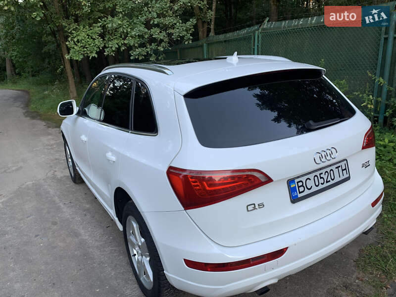 Внедорожник / Кроссовер Audi Q5 2010 в Судовой Вишне фото 5 Внедорожник / Кроссовер Audi Q5 2010 в Судовой Вишне