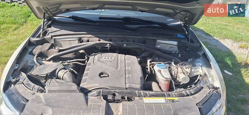 Внедорожник / Кроссовер Audi Q5 2015 в Теофиполе фото 32 Внедорожник / Кроссовер Audi Q5 2015 в Теофиполе