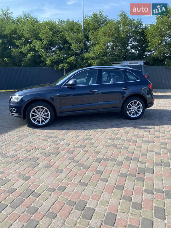 Внедорожник / Кроссовер Audi Q5 2016 в Сарнах фото 3 Внедорожник / Кроссовер Audi Q5 2016 в Сарнах