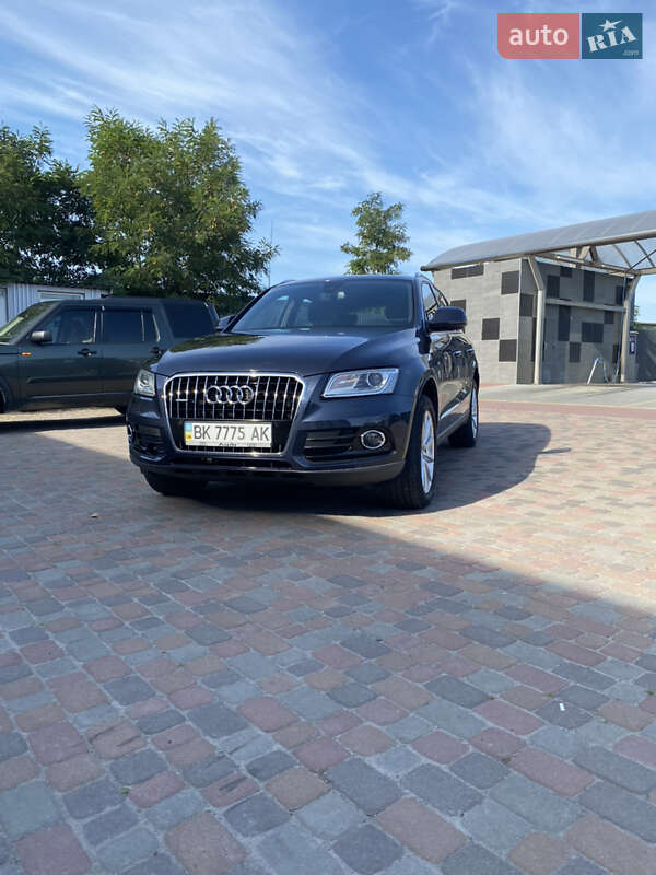 Внедорожник / Кроссовер Audi Q5 2016 в Сарнах фото 20 Внедорожник / Кроссовер Audi Q5 2016 в Сарнах