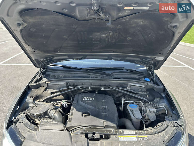 Внедорожник / Кроссовер Audi Q5 2013 в Житомире
