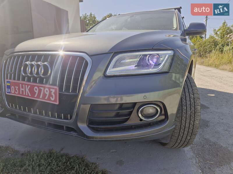 Внедорожник / Кроссовер Audi Q5 2014 в Кременчуге фото 4 Внедорожник / Кроссовер Audi Q5 2014 в Кременчуге