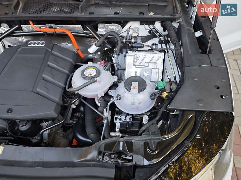 Внедорожник / Кроссовер Audi Q5 2020 в Николаеве фото 61 Внедорожник / Кроссовер Audi Q5 2020 в Николаеве