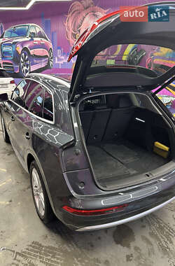 Внедорожник / Кроссовер Audi Q5 2019 в 