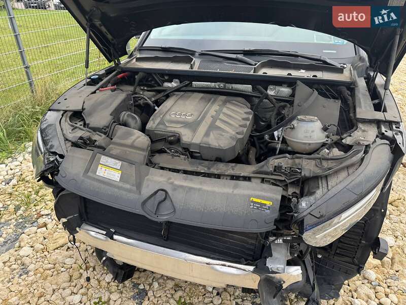 Внедорожник / Кроссовер Audi Q5 2021 в Львове фото 18 Внедорожник / Кроссовер Audi Q5 2021 в Львове