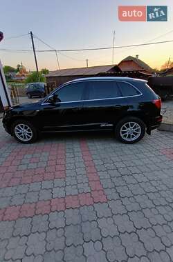 Внедорожник / Кроссовер Audi Q5 2011 в 