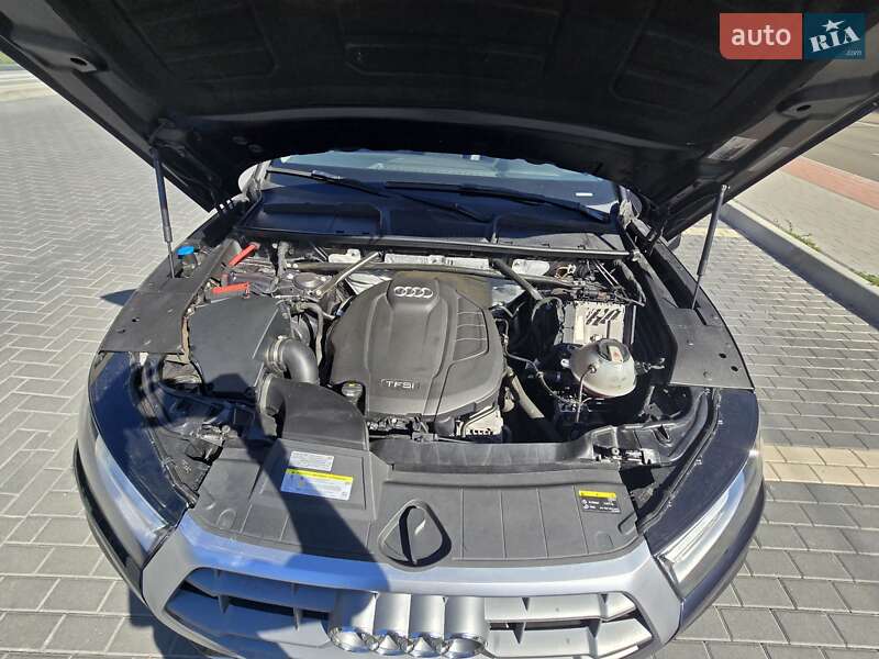 Внедорожник / Кроссовер Audi Q5 2019 в Луцке фото 27 Внедорожник / Кроссовер Audi Q5 2019 в Луцке