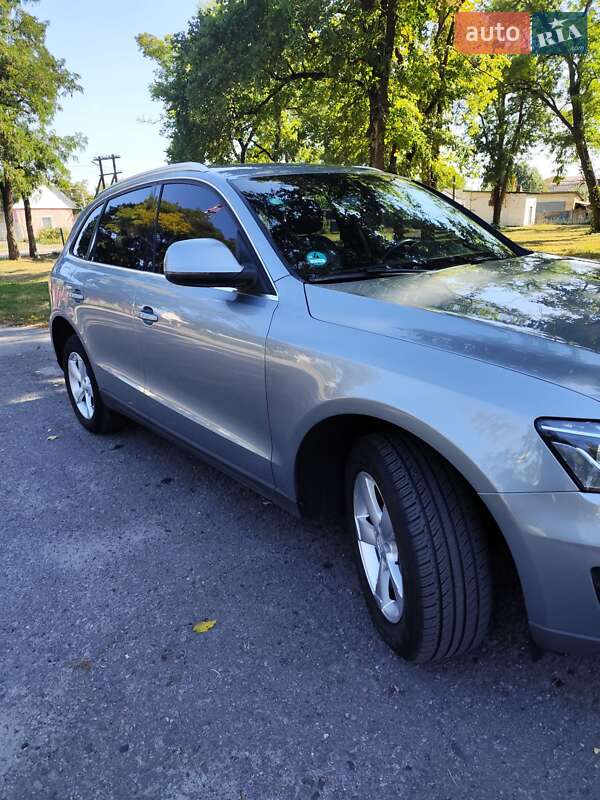 Внедорожник / Кроссовер Audi Q5 2011 в Гадяче