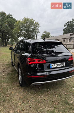 Внедорожник / Кроссовер Audi Q5 2017 в 