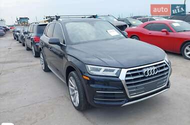 Внедорожник / Кроссовер Audi Q5 2019 в 