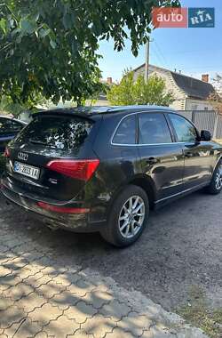 Внедорожник / Кроссовер Audi Q5 2010 в 
