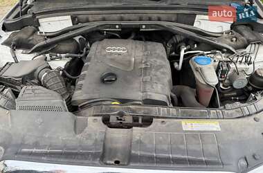 Внедорожник / Кроссовер Audi Q5 2011 в 