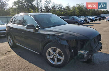 Внедорожник / Кроссовер Audi Q5 2023 в 