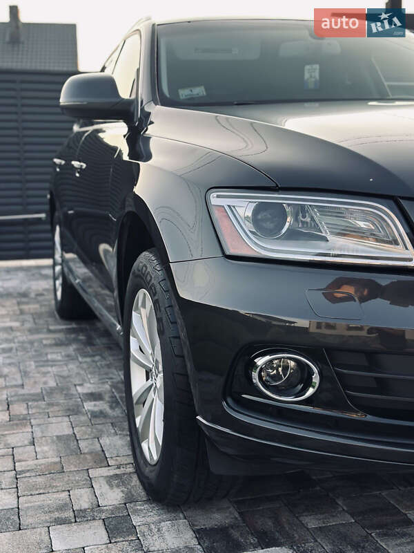 Внедорожник / Кроссовер Audi Q5 2013 в Луцке фото 5 Внедорожник / Кроссовер Audi Q5 2013 в Луцке