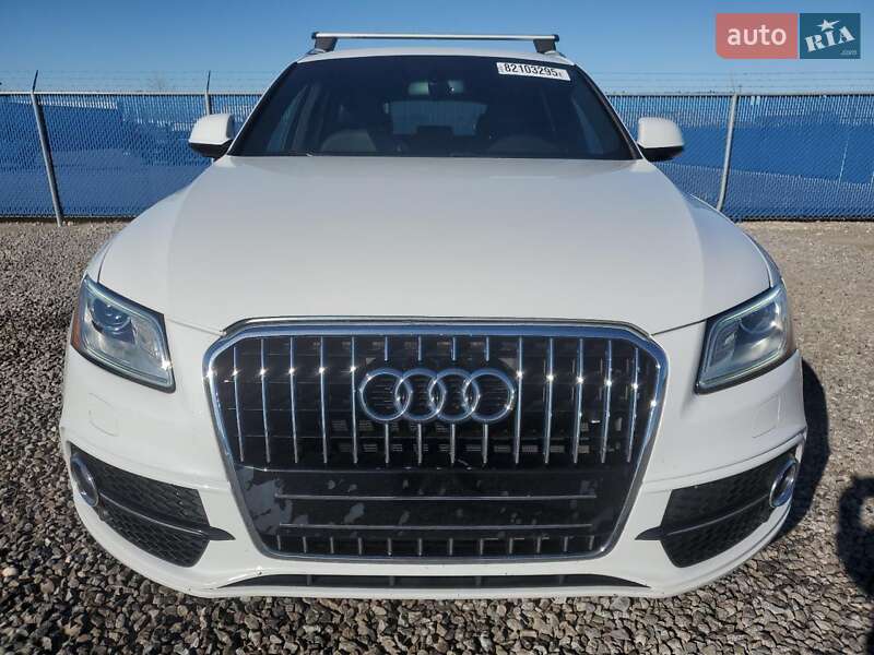 Внедорожник / Кроссовер Audi Q5 2019 в Виннице