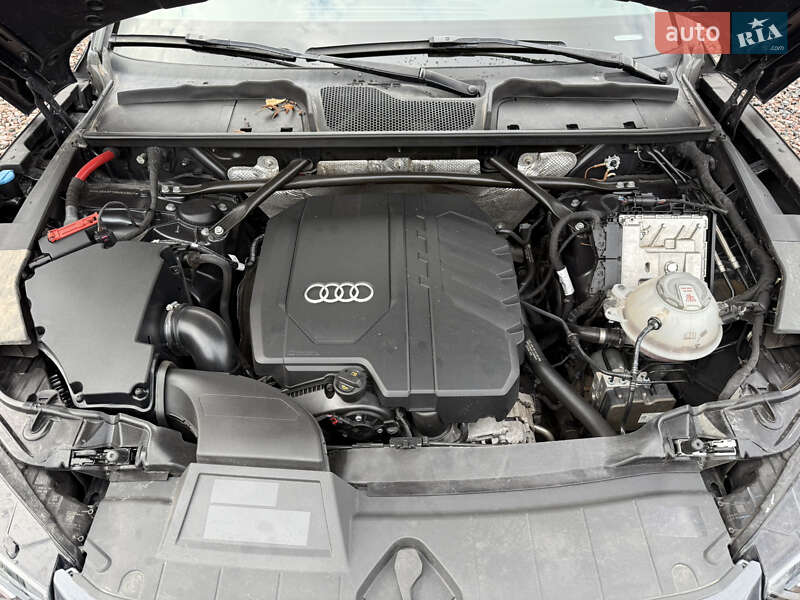 Внедорожник / Кроссовер Audi Q5 2021 в Киеве фото 39 Внедорожник / Кроссовер Audi Q5 2021 в Киеве