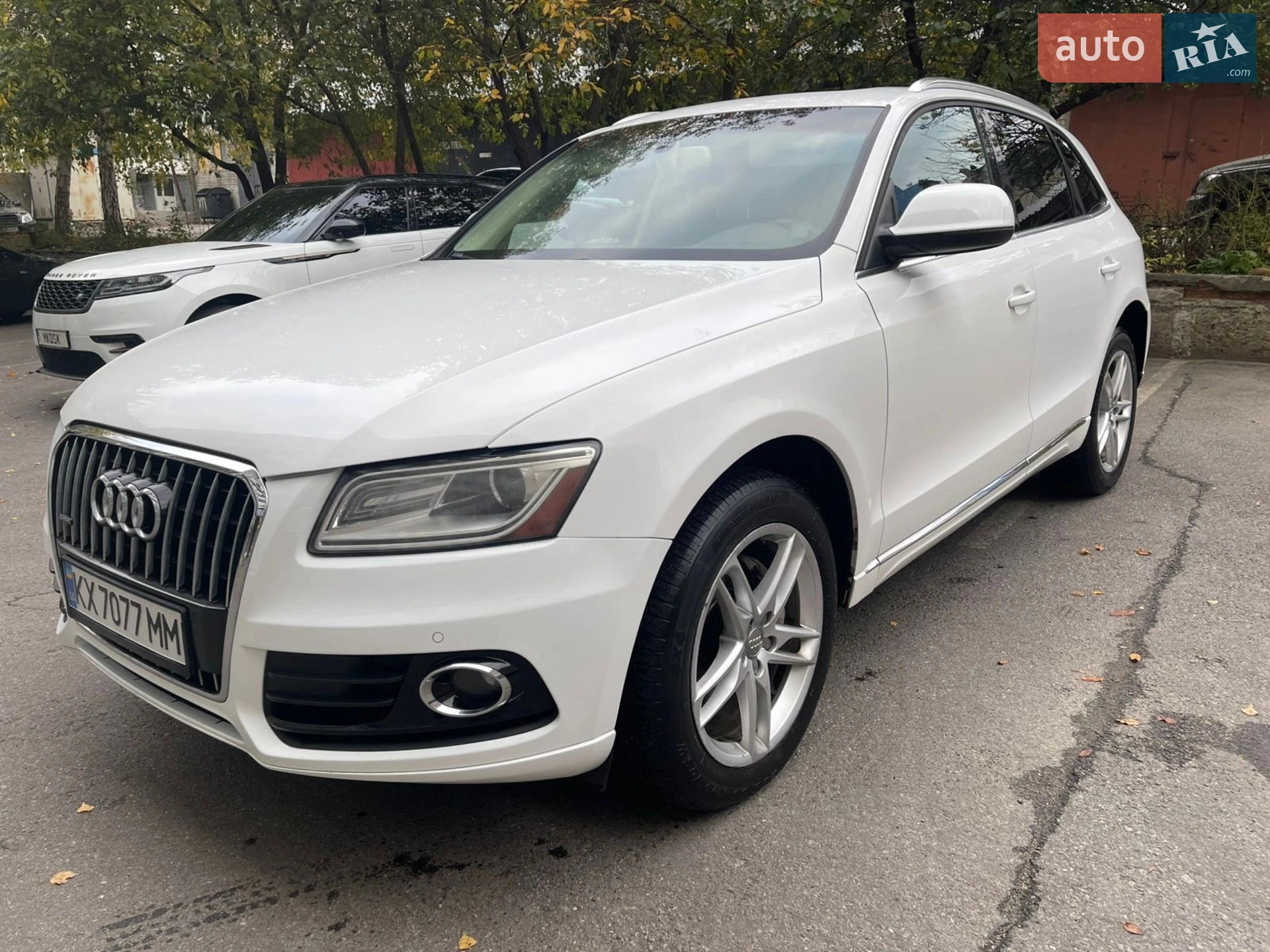 2013 Audi Q5 - мініатюра 2