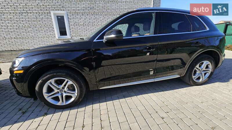 Внедорожник / Кроссовер Audi Q5 2019 в Ходорове