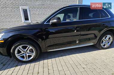 Позашляховик / Кросовер Audi Q5 2019 в 