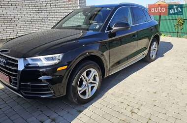 Позашляховик / Кросовер Audi Q5 2019 в 