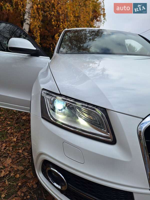 Позашляховик / Кросовер Audi Q5 2014 в Лубнах фото 13 Позашляховик / Кросовер Audi Q5 2014 в Лубнах