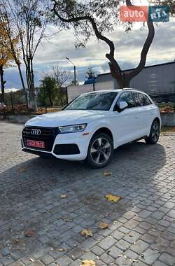 Позашляховик / Кросовер Audi Q5 2020 в Львові Позашляховик / Кросовер Audi Q5 2020 в Львові