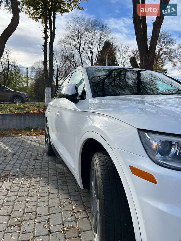 Внедорожник / Кроссовер Audi Q5 2020 в Львове фото 13 Внедорожник / Кроссовер Audi Q5 2020 в Львове