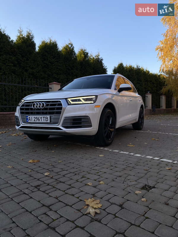 Внедорожник / Кроссовер Audi Q5 2020 в Василькове фото 11 Внедорожник / Кроссовер Audi Q5 2020 в Василькове