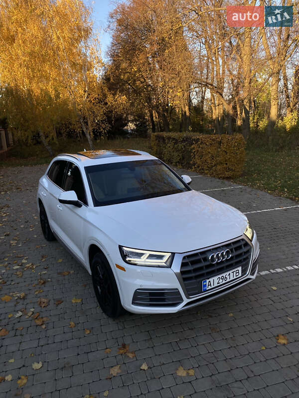 Внедорожник / Кроссовер Audi Q5 2020 в Василькове фото 13 Внедорожник / Кроссовер Audi Q5 2020 в Василькове