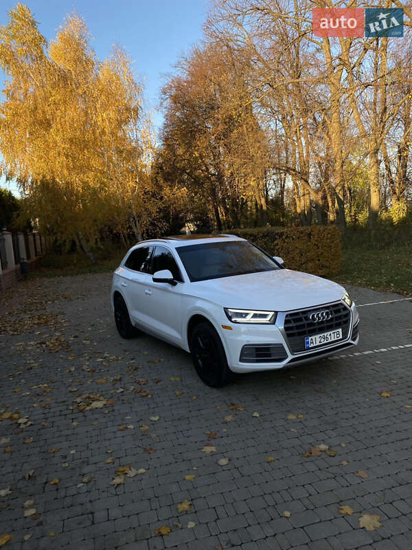 Внедорожник / Кроссовер Audi Q5 2020 в Василькове фото 14 Внедорожник / Кроссовер Audi Q5 2020 в Василькове