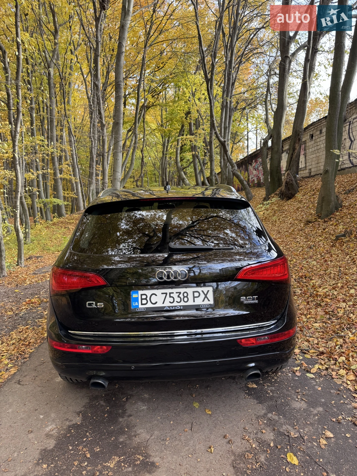2015 Audi Q5 - мініатюра 7