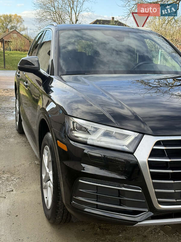 Внедорожник / Кроссовер Audi Q5 2019 в Жидачове