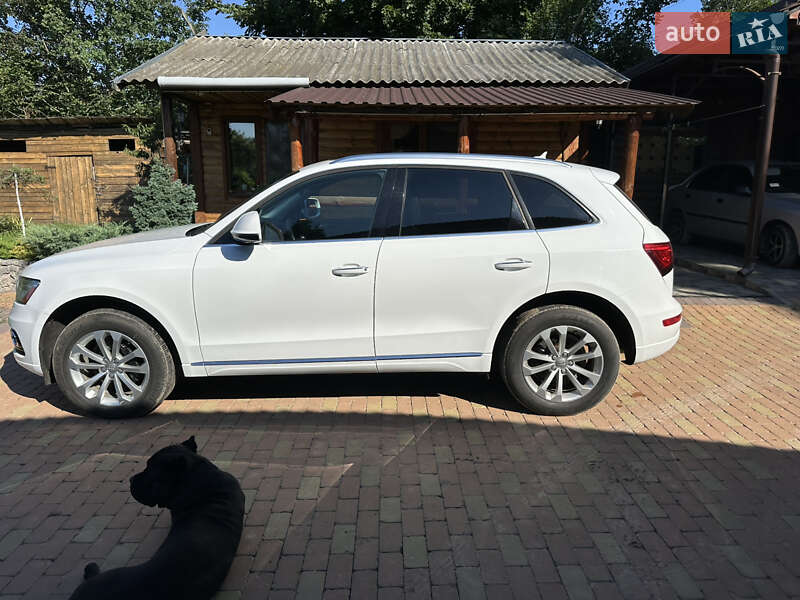 Позашляховик / Кросовер Audi Q5 2014 в Києві фото 32 Позашляховик / Кросовер Audi Q5 2014 в Києві