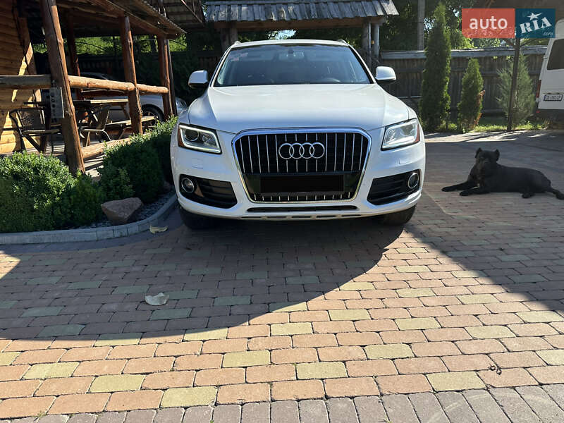 Позашляховик / Кросовер Audi Q5 2014 в Києві фото 36 Позашляховик / Кросовер Audi Q5 2014 в Києві
