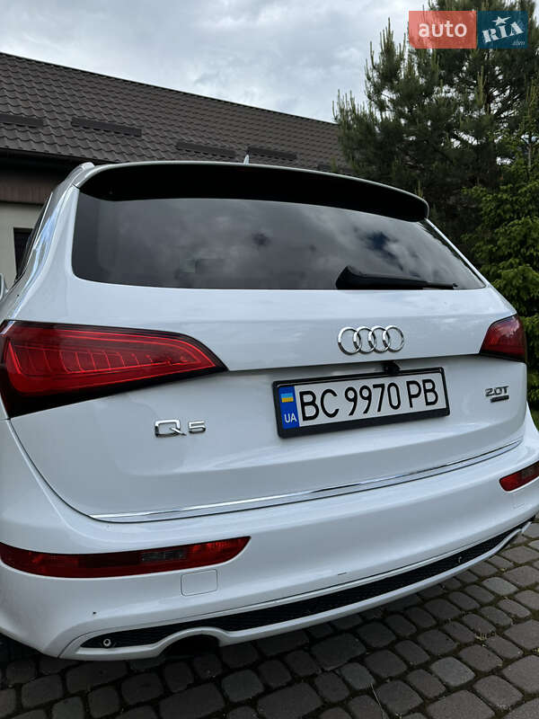 Внедорожник / Кроссовер Audi Q5 2016 в Львове фото 11 Внедорожник / Кроссовер Audi Q5 2016 в Львове