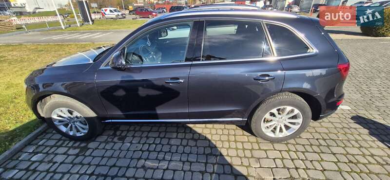 Внедорожник / Кроссовер Audi Q5 2016 в Львове фото 31 Внедорожник / Кроссовер Audi Q5 2016 в Львове