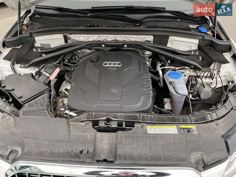 Позашляховик / Кросовер Audi Q5 2015 в Києві фото 32 Позашляховик / Кросовер Audi Q5 2015 в Києві
