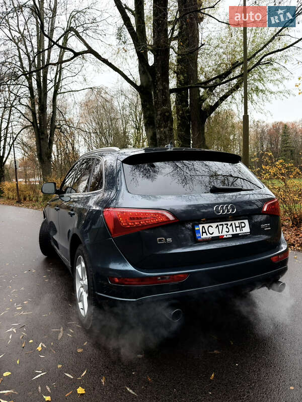 Внедорожник / Кроссовер Audi Q5 2010 в Луцке фото 7 Внедорожник / Кроссовер Audi Q5 2010 в Луцке