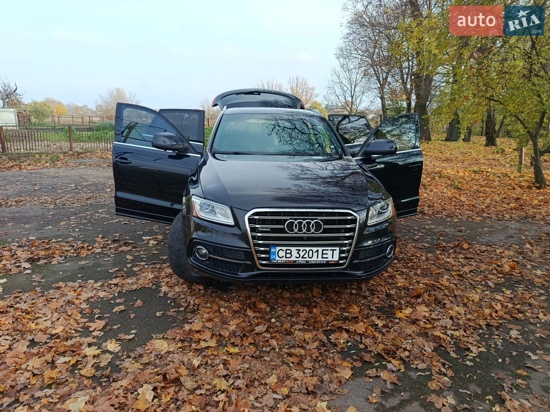 2013 Audi Q5 - мініатюра 2