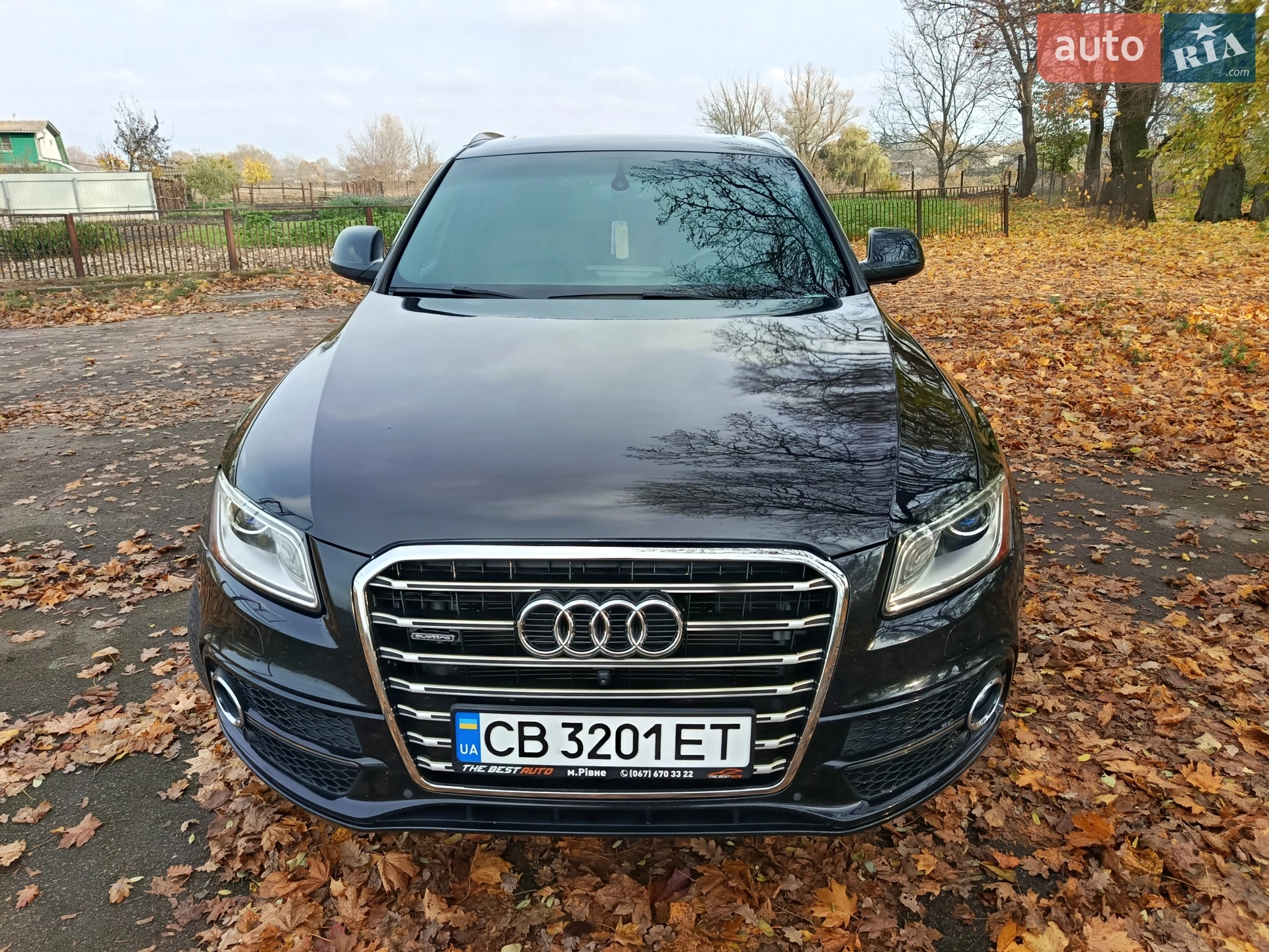 2013 Audi Q5 - мініатюра 3