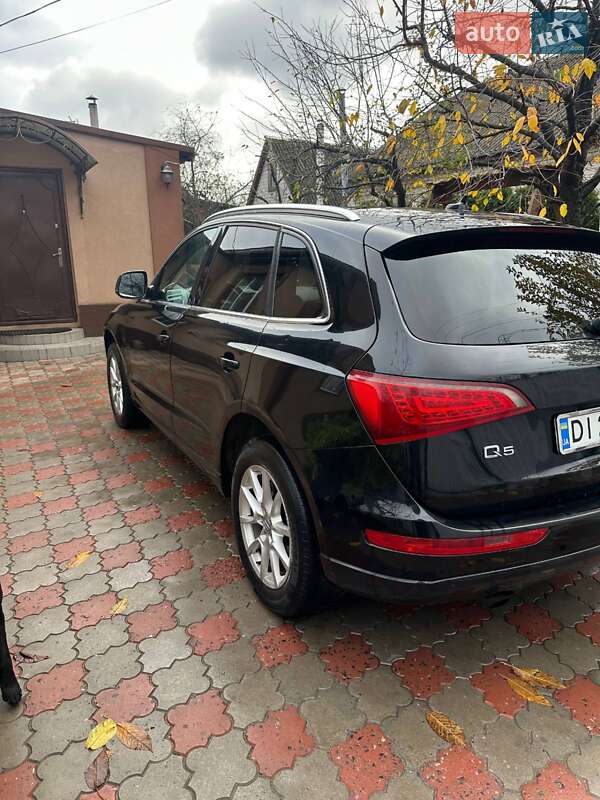 Позашляховик / Кросовер Audi Q5 2010 в Черкасах фото 4 Позашляховик / Кросовер Audi Q5 2010 в Черкасах
