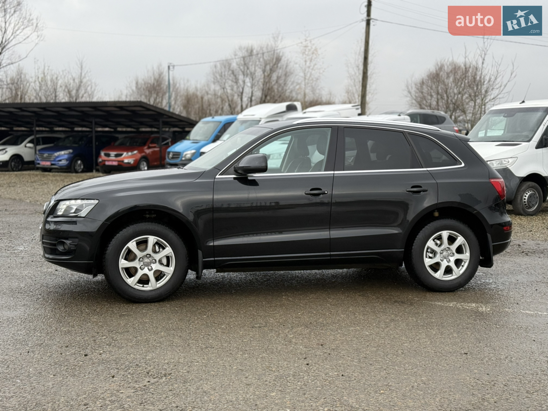 2011 Audi Q5 - мініатюра 13