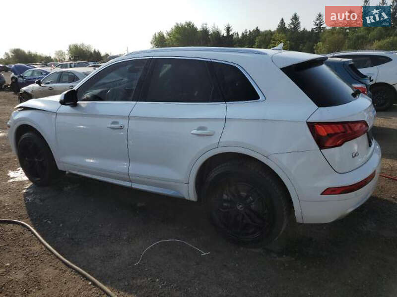 Внедорожник / Кроссовер Audi Q5 2019 в Стрые