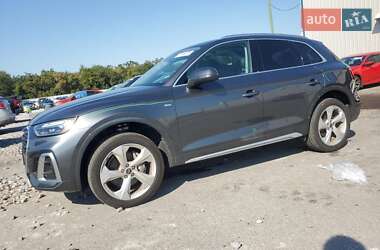 Внедорожник / Кроссовер Audi Q5 2023 в Львове