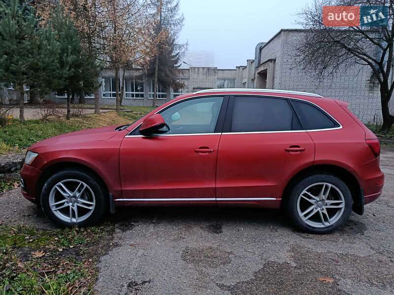 Внедорожник / Кроссовер Audi Q5 2014 в Львове фото 11 Внедорожник / Кроссовер Audi Q5 2014 в Львове