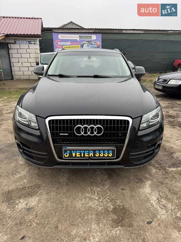 Внедорожник / Кроссовер Audi Q5 2011 в Чернигове фото 12 Внедорожник / Кроссовер Audi Q5 2011 в Чернигове