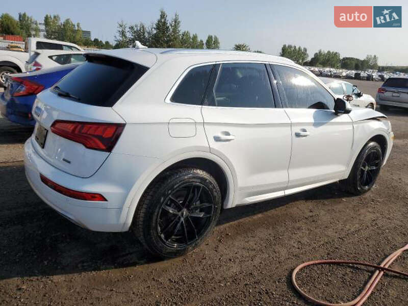 Позашляховик / Кросовер Audi Q5 2019 в Стрию