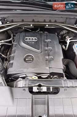 Внедорожник / Кроссовер Audi Q5 2011 в Иванкове фото 24 Внедорожник / Кроссовер Audi Q5 2011 в Иванкове