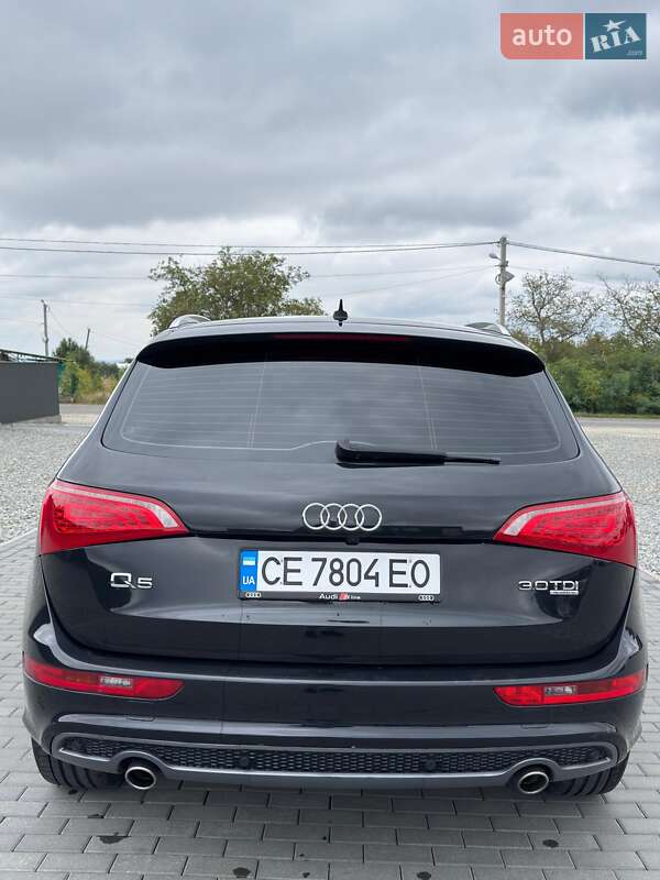 Внедорожник / Кроссовер Audi Q5 2009 в Черновцах фото 5 Внедорожник / Кроссовер Audi Q5 2009 в Черновцах