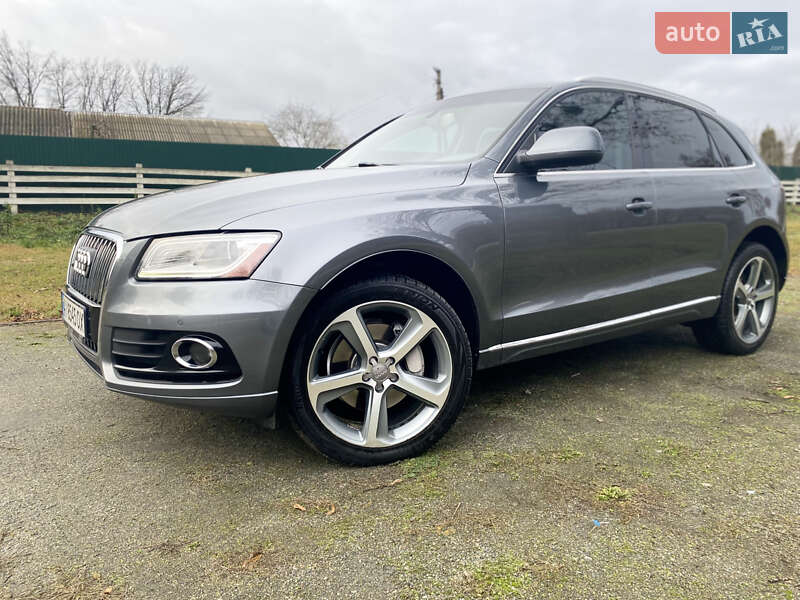 Внедорожник / Кроссовер Audi Q5 2014 в Белой Церкви